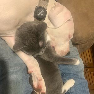 Meet your Posher, Kiara